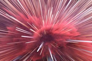 Skąd wywodzi sie astrologia?